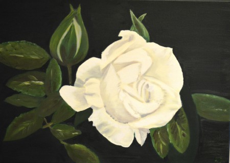 Witte Roos | Olie | 80 x 70